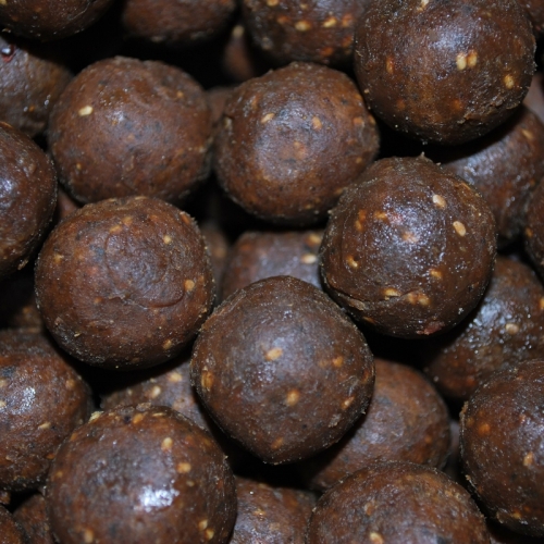 Boilies OCEAN FOOD LINE Carp Magnet 250g 20mm